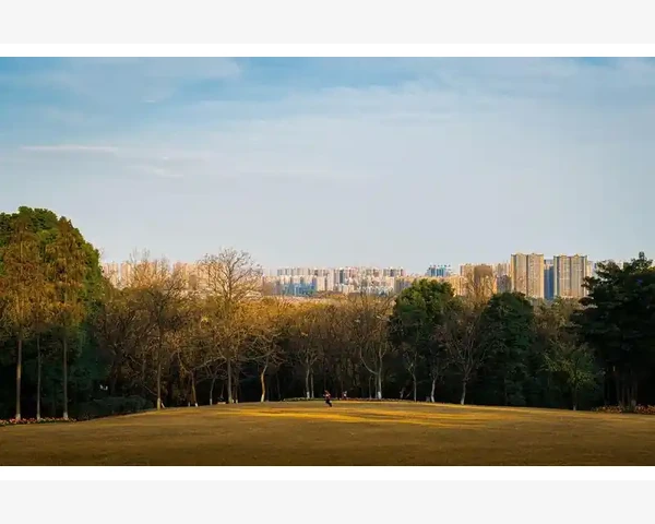 气血不足易感冒怕冷：中医科普，温暖你的身体