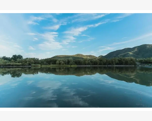 吃什么可以化痰排痰？中医科普解析
